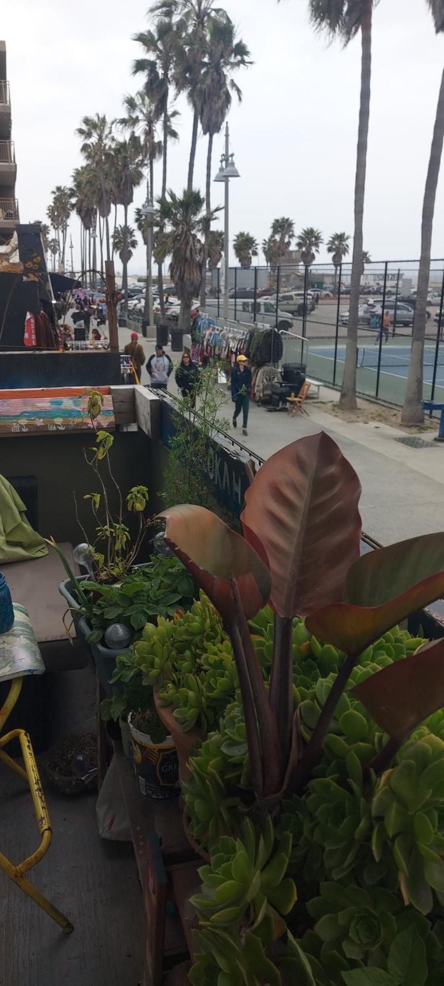 Ocean Front Vortex Female Hostel Private Rooms Free Bikes Los Angeles Exterior photo